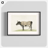 Standing cow with blanket - ジャン ベルナール Poster.