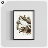 3-52_John-Gould_blk