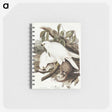 3-52_John-Gould_memo