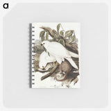 3-52_John-Gould_memo