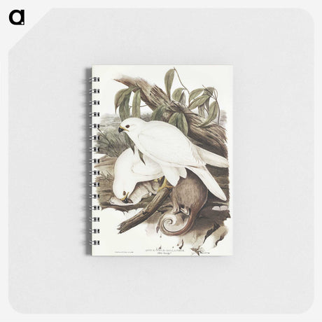 3-52_John-Gould_memo