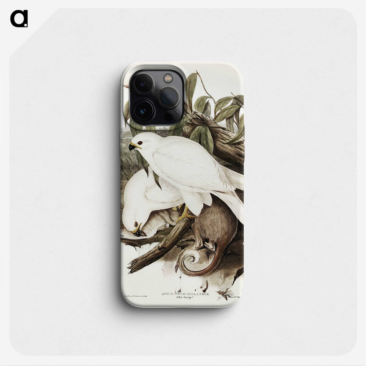 3-52_John-Gould_phone
