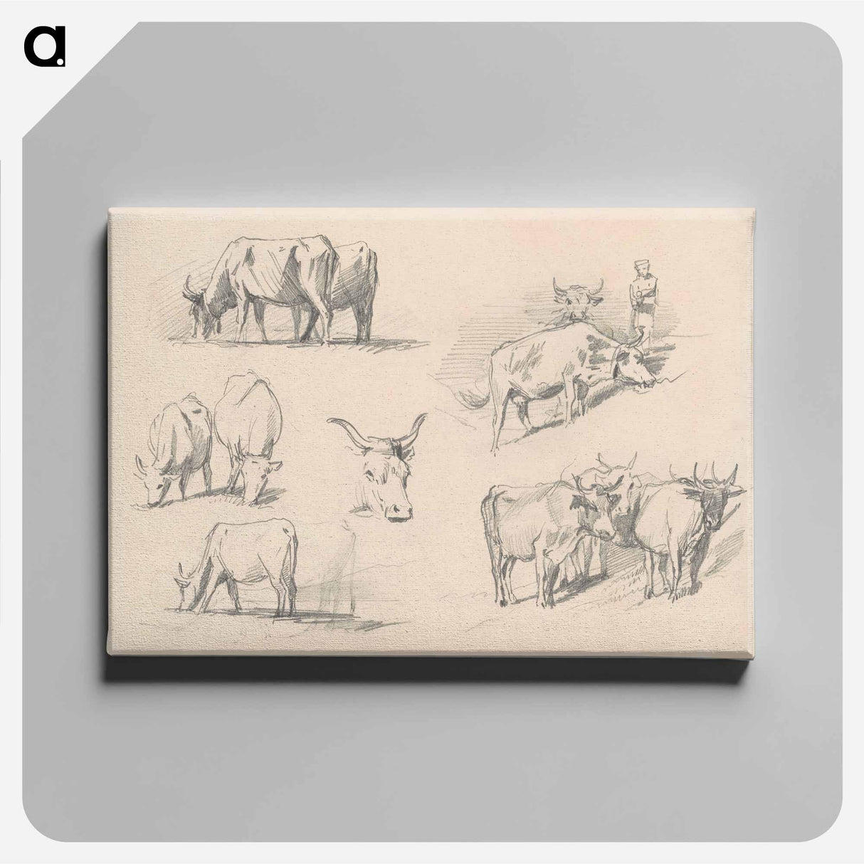 アートパネル-Studies of Cattle - ジョン シンガー サージェント Canvas.
