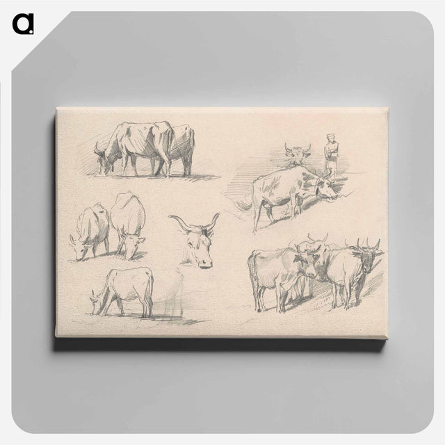アートパネル-Studies of Cattle - ジョン シンガー サージェント Canvas.