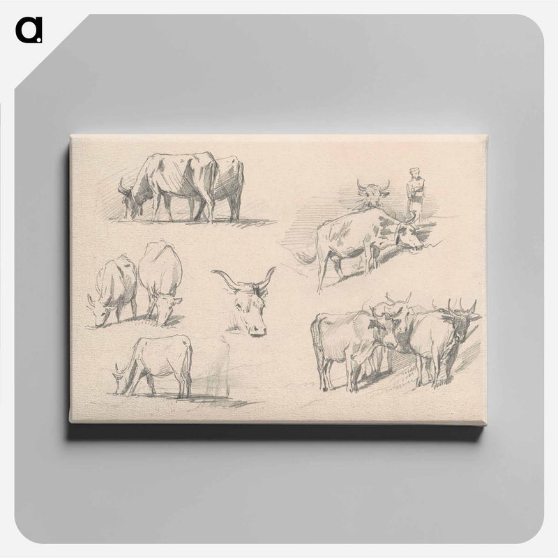 Studies of Cattle - ジョン シンガー サージェント Canvas.