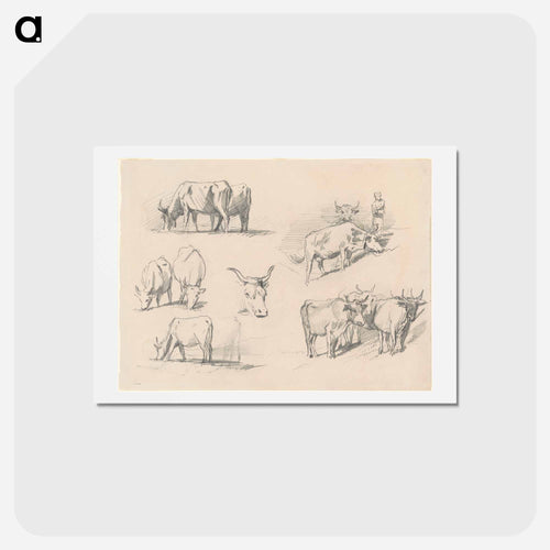 Studies of Cattle - ジョン シンガー サージェント Postcard.