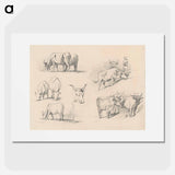 アートポスター-Studies of Cattle - ジョン シンガー サージェント Poster.