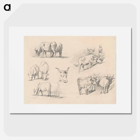 アートポスター-Studies of Cattle - ジョン シンガー サージェント Poster.