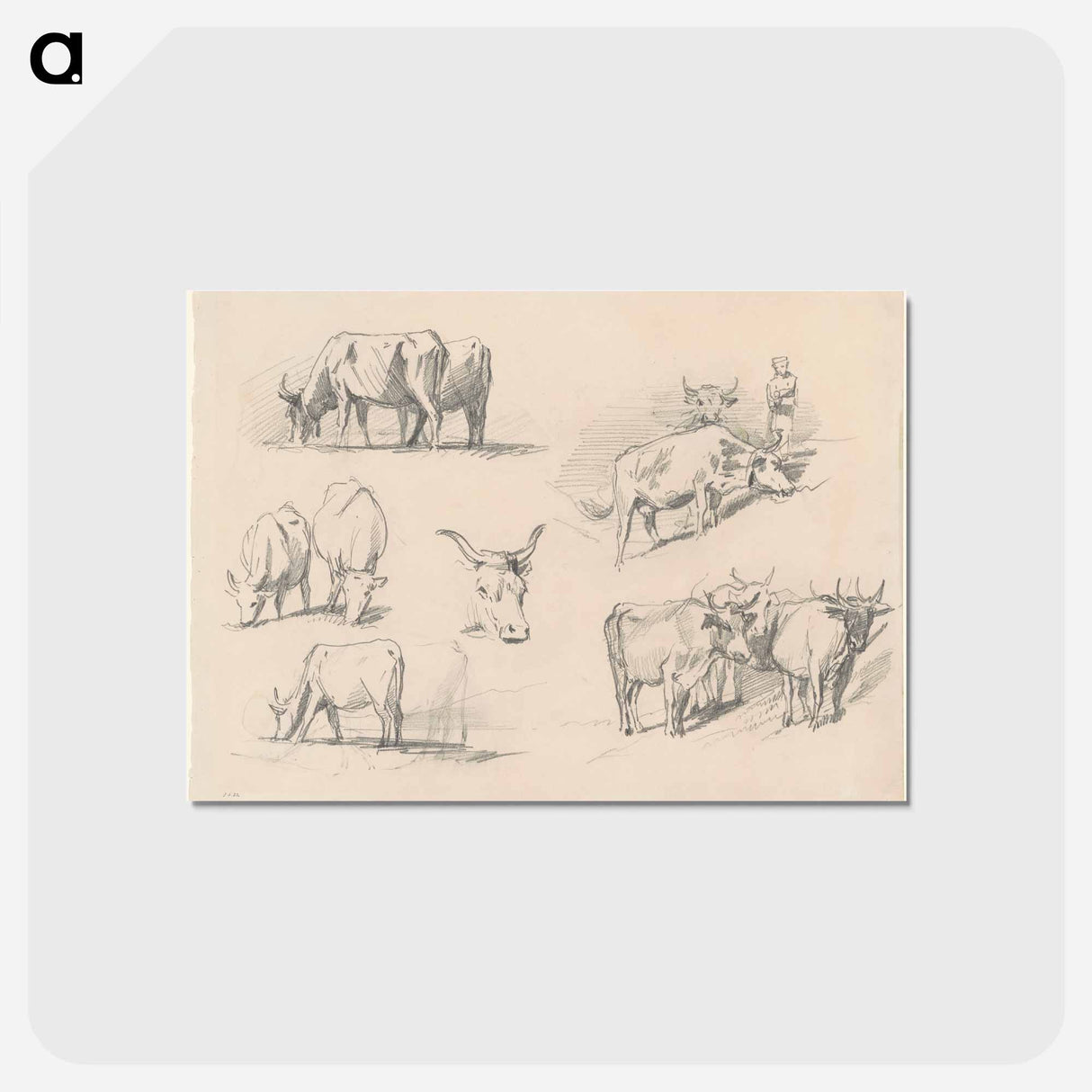 アートポストカード-Studies of Cattle - ジョン シンガー サージェント Postcard.