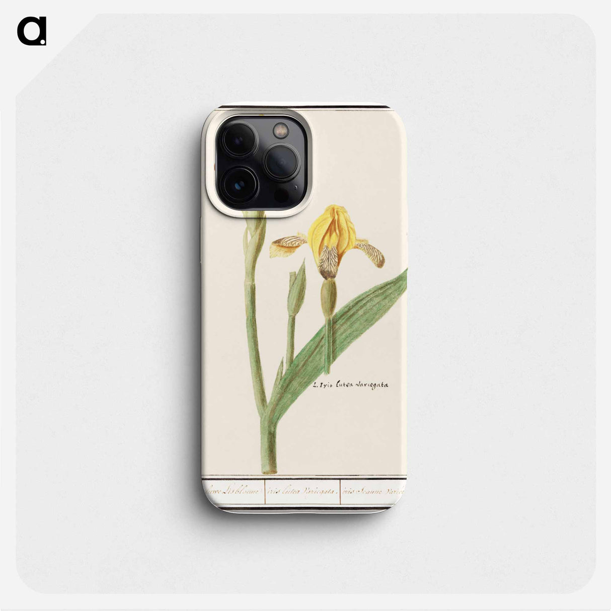 Yellow Iris - アンセルムス ボエティウス デ ブート Phone Case.