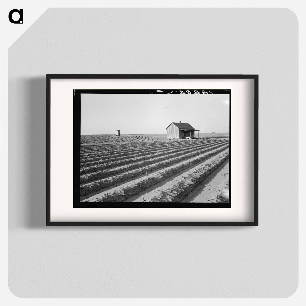 Abandoned tenant house seen across tractored fields - Dorothea Lange Poster.