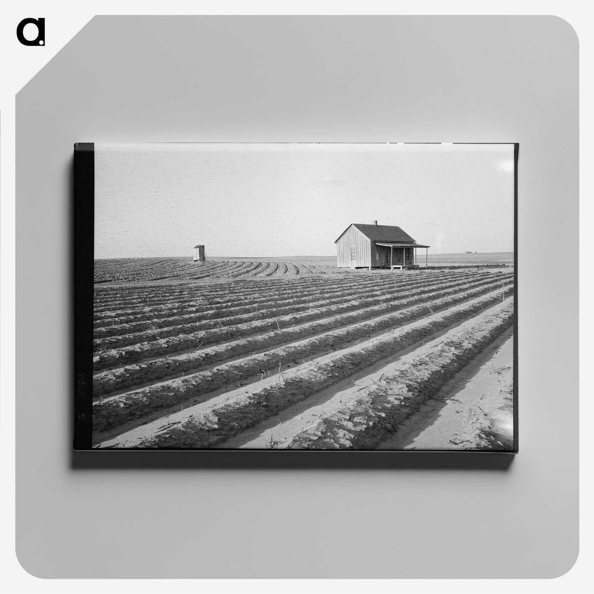 3-53_Dorothea-Lange_canvas