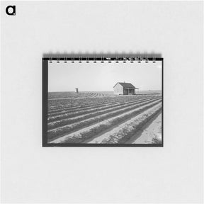 アートメモ帳-Abandoned tenant house seen across tractored fields - ドロテア ラング Memo.