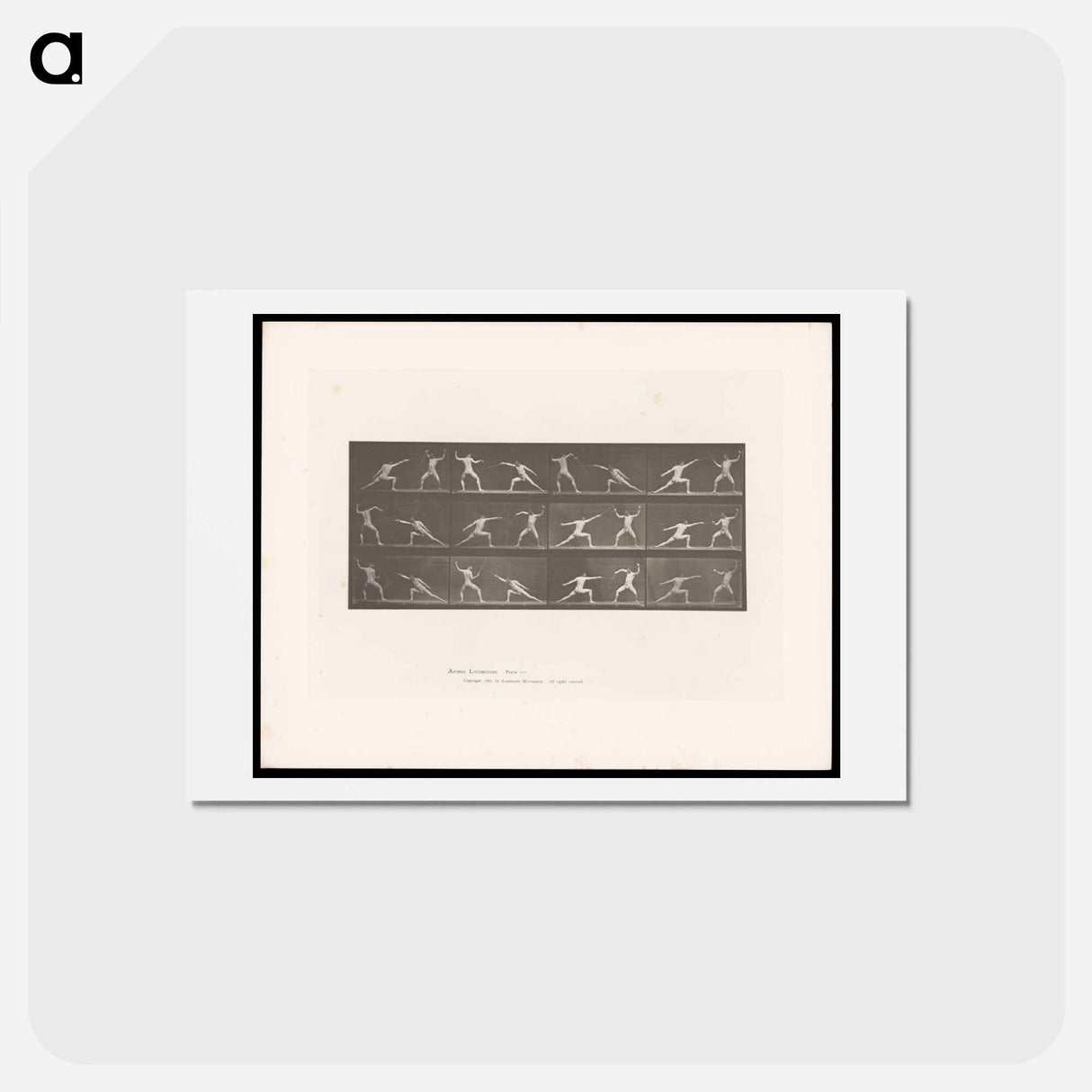 アートポストカード-Fencers in Motion
 - エドワード マイブリッジ Postcard.