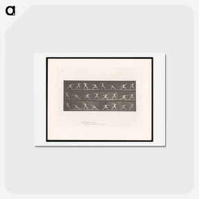 アートポストカード-Fencers in Motion
 - エドワード マイブリッジ Postcard.