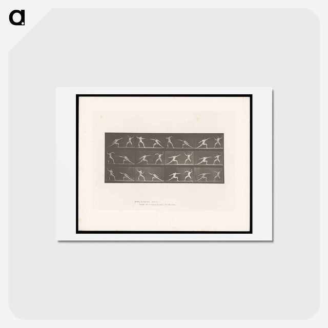 アートポストカード-Fencers in Motion
 - エドワード マイブリッジ Postcard.