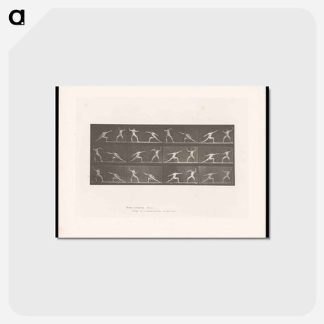アートポストカード-Fencers in Motion
 - エドワード マイブリッジ Postcard.