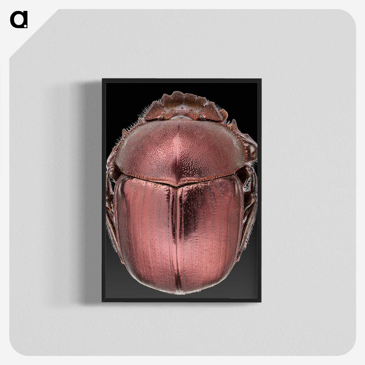 3-53_Insects-Unlocked-Project_blk-crop
