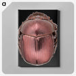 3-53_Insects-Unlocked-Project_canvas