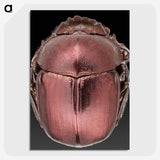 3-53_Insects-Unlocked-Project_picture-crop