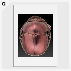 3-53_Insects-Unlocked-Project_picture
