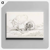 アートパネル-Lying goat and a standing goat - ジャン ベルナール Canvas.