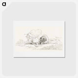 アートポストカード-Lying goat and a standing goat - ジャン ベルナール Postcard.