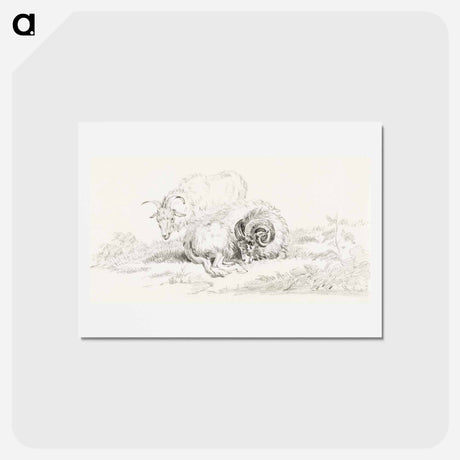 アートポストカード-Lying goat and a standing goat - ジャン ベルナール Postcard.