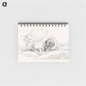 アートメモ帳-Lying goat and a standing goat - ジャン ベルナール Memo.