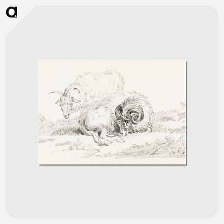 アートポストカード-Lying goat and a standing goat - ジャン ベルナール Postcard.