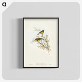 3-53_John-Gould_blk-crop