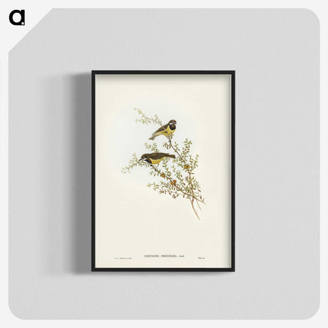 3-53_John-Gould_blk-crop