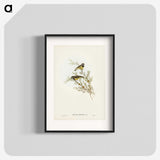 3-53_John-Gould_blk