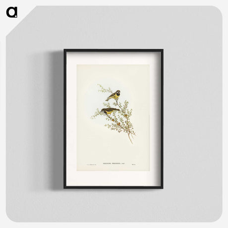 3-53_John-Gould_blk