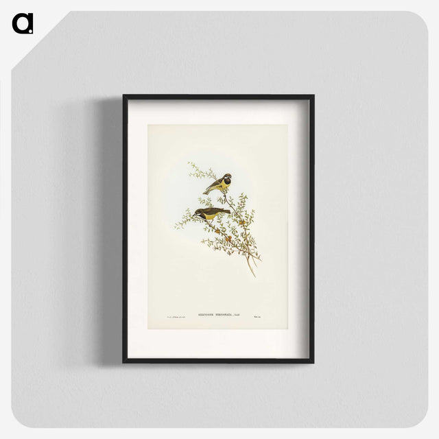 3-53_John-Gould_blk