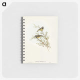 3-53_John-Gould_memo