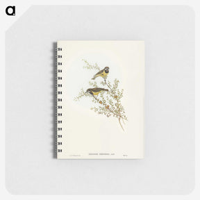 3-53_John-Gould_memo