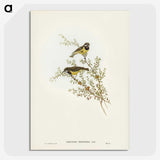 3-53_John-Gould_picture-crop