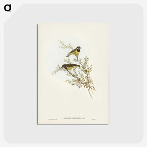 3-53_John-Gould_postcard