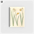 アートメモ帳-Narcissus
 - マリア ジビーラ メーリアン Memo.