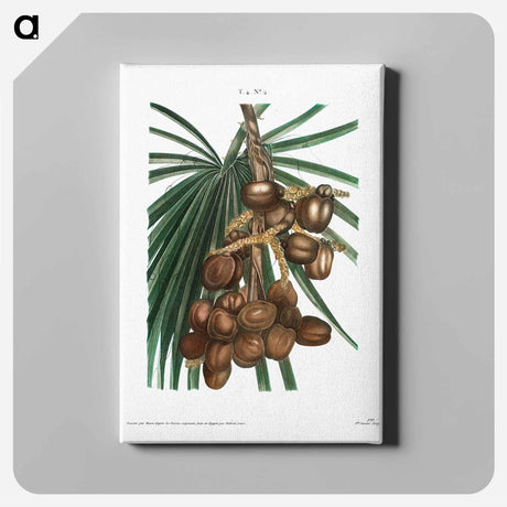 アートパネル-Date palm - ピエール ジョゼフ ルドゥーテ Canvas.