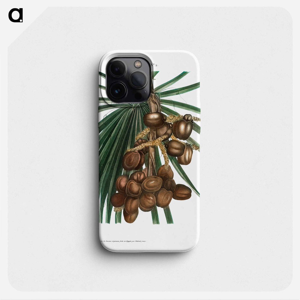 Date palm - ピエール ジョゼフ ルドゥーテ Phone Case.