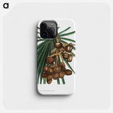 Date palm - ピエール ジョゼフ ルドゥーテ Phone Case.