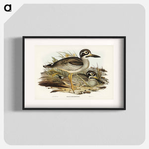 オーストラリア