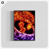 3-54_COVID-19_blk-crop
