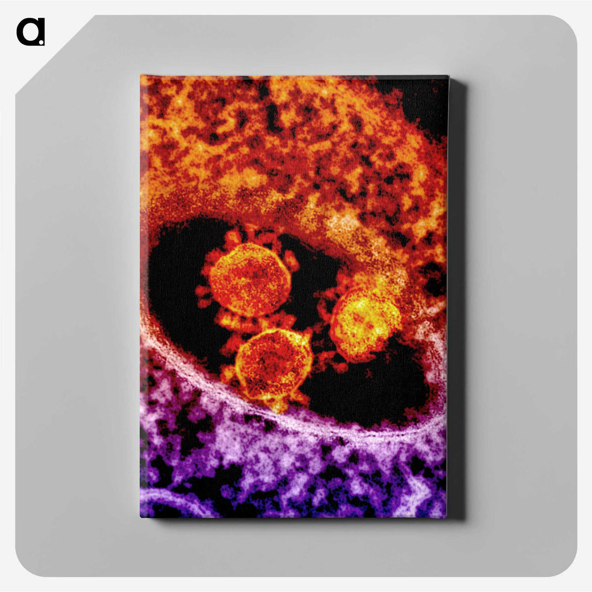 3-54_COVID-19_canvas