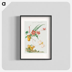 アートポスター-Floral Design with Dog and Insects
 - クリーブランド美術館 Poster.