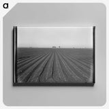 3-54_Dorothea-Lange_canvas