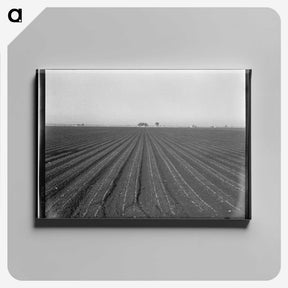 3-54_Dorothea-Lange_canvas