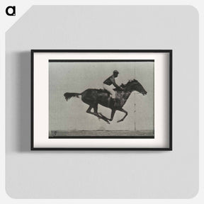 アートポスター-Galloping Horse and Rider
 - エドワード マイブリッジ Poster.